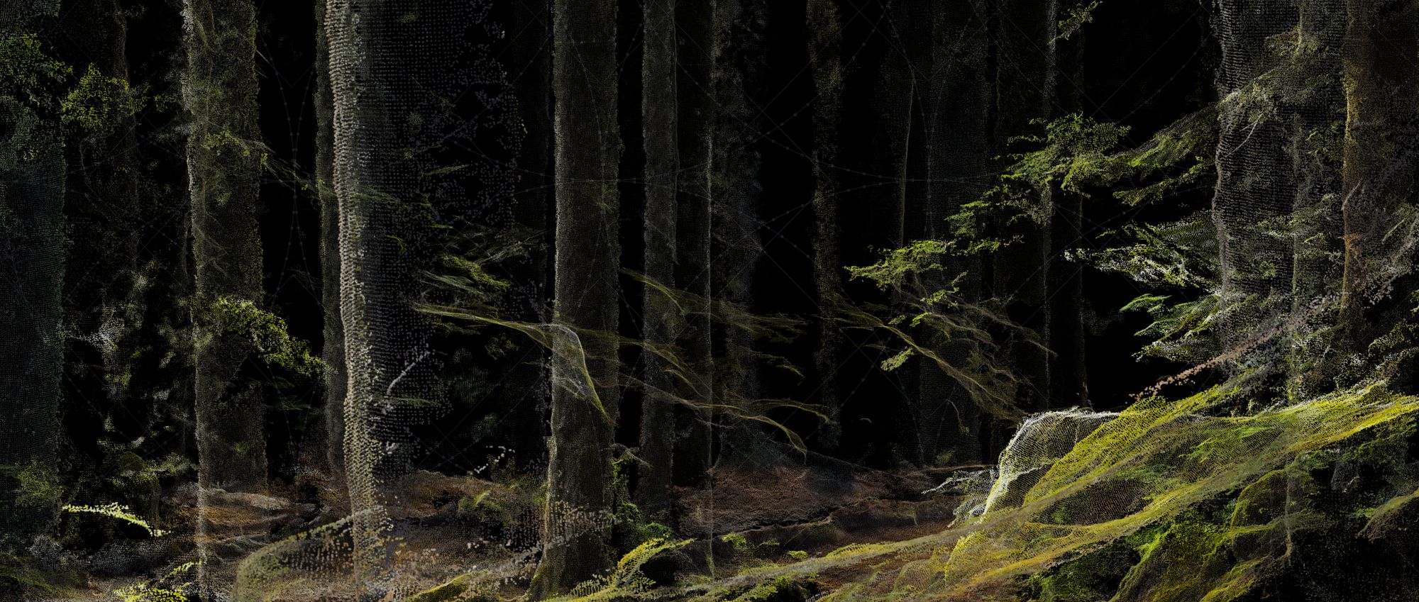 A forest rendered as particles, with mossy green ground and pale trunks