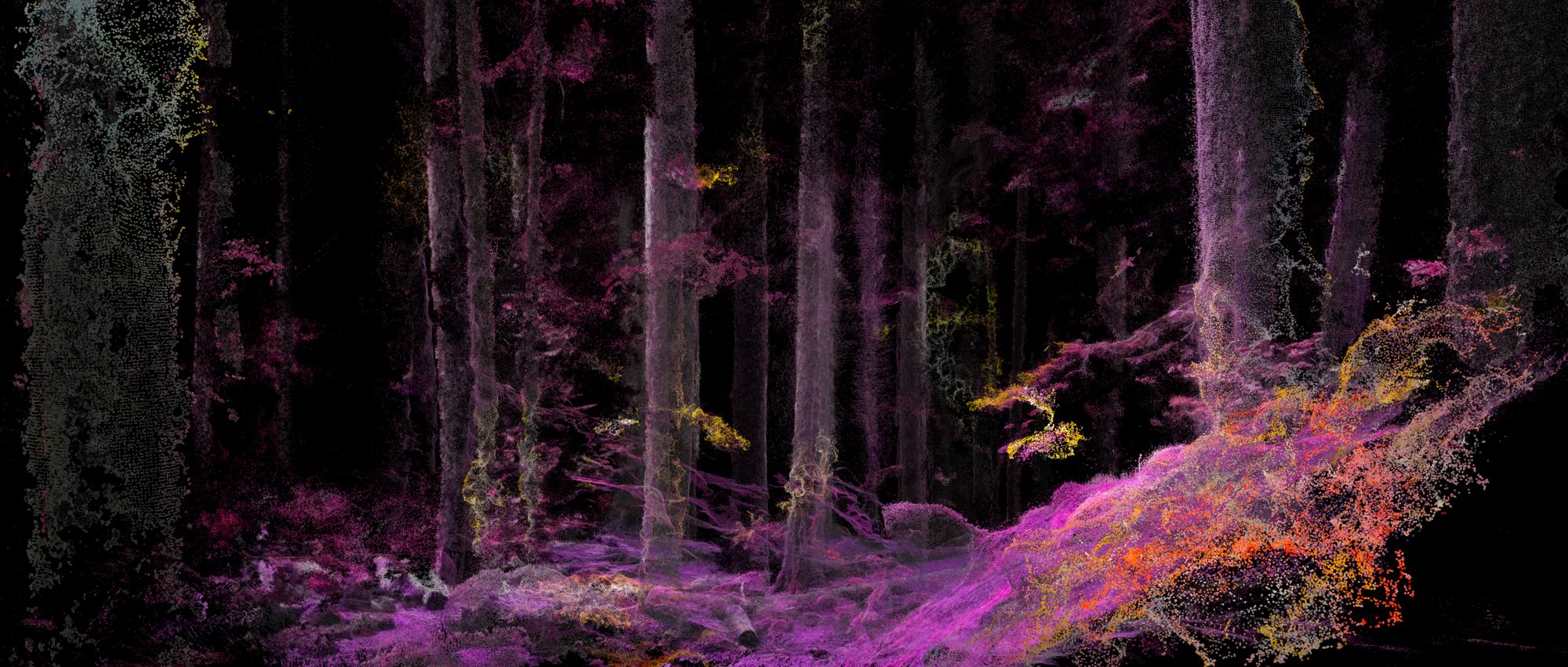 A forest rendered as particles in magenta and orange, flowing across the forest floor