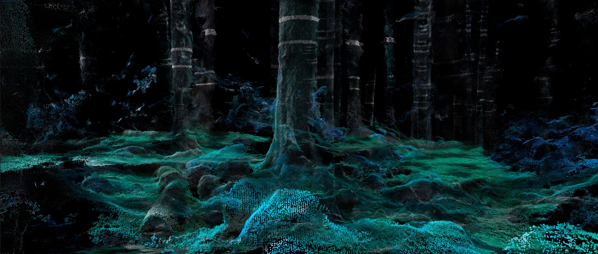 The particle forest in teal, roots and moss glowing in the dark